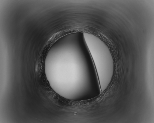 X0000086770776200704130835