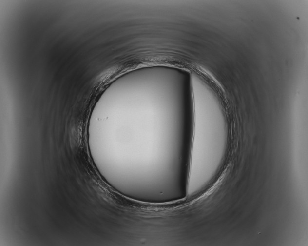 X0000086770777200704130835