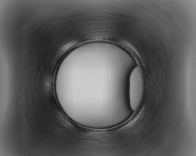 X0000086770778200704130835