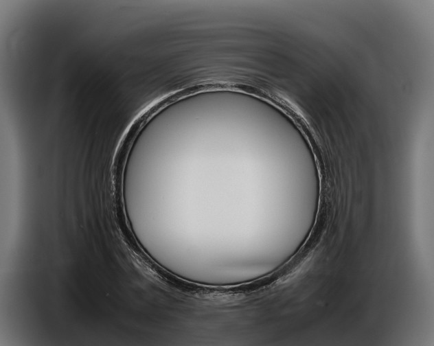 X0000086770779200704130835
