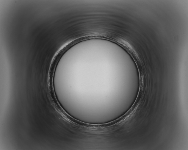 X0000086770780200704130835