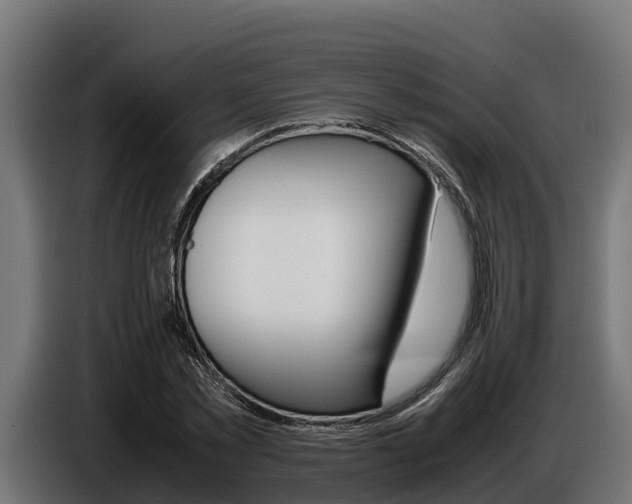 X0000086770781200704130835