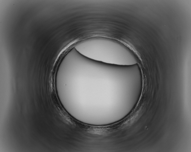 X0000086770782200704130835