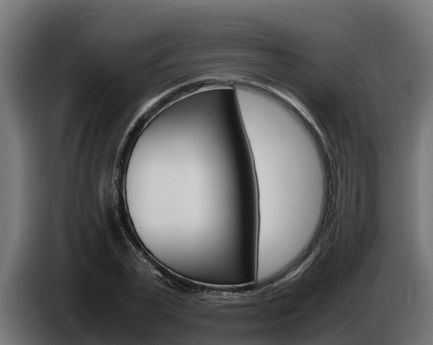 X0000086770783200704130835