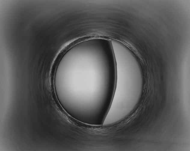 X0000086770784200704130835