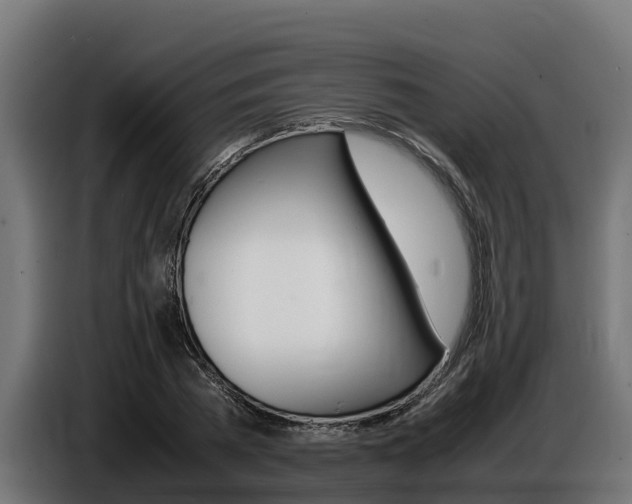 X0000086770785200704130835