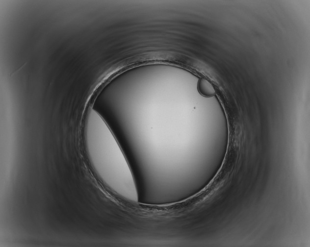 X0000086770786200704130835
