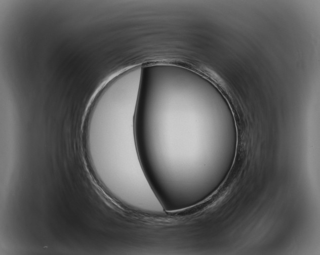 X0000086770787200704130835