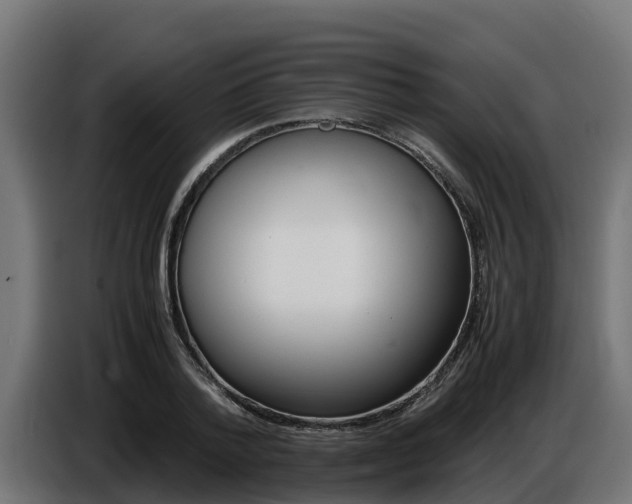 X0000086770788200704130835