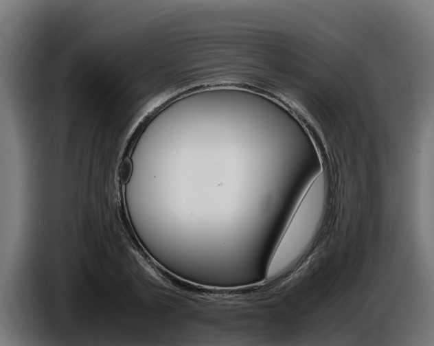X0000086770789200704130835