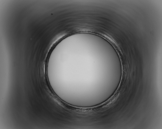 X0000086770790200704130835