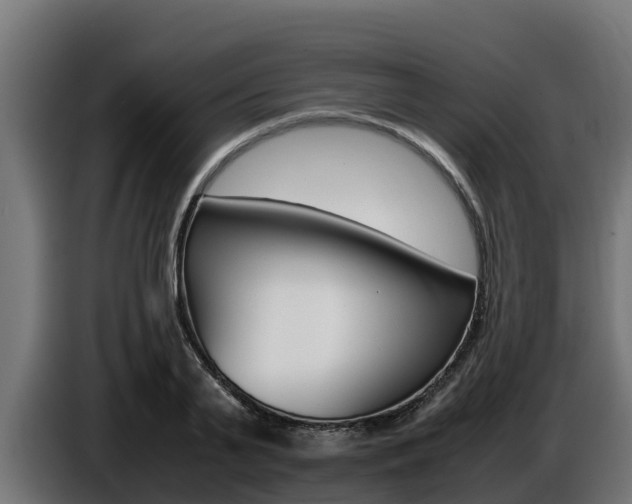 X0000086770791200704130835