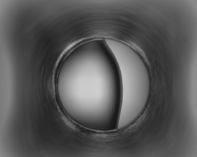 X0000086770792200704130835