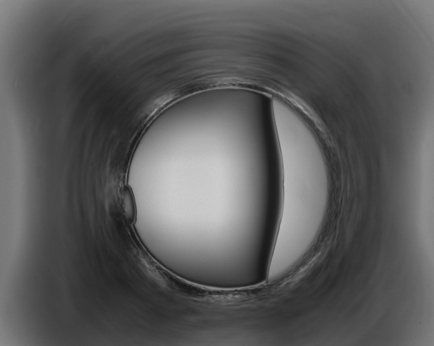 X0000086770793200704130835