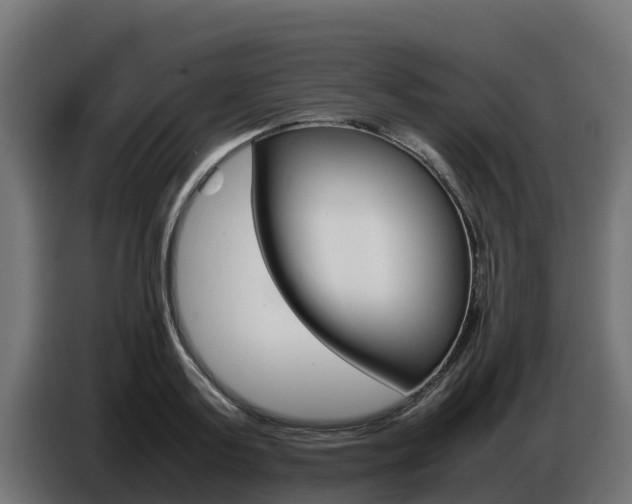 X0000086770795200704130835