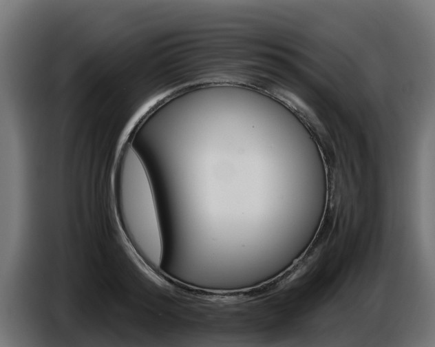 X0000086770796200704130835