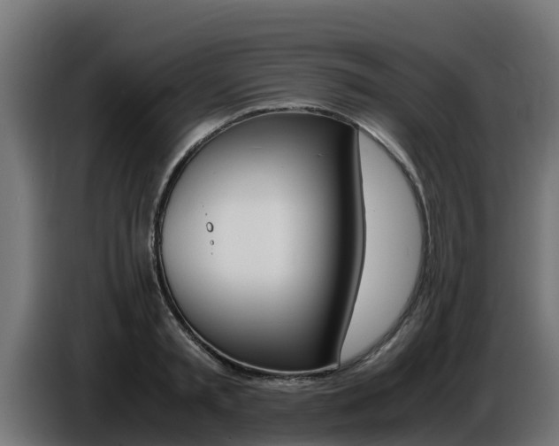 X0000086770797200704130835