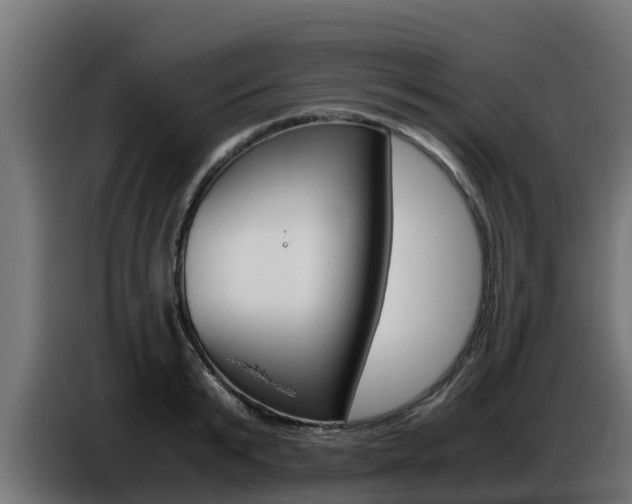 X0000086770799200704130835