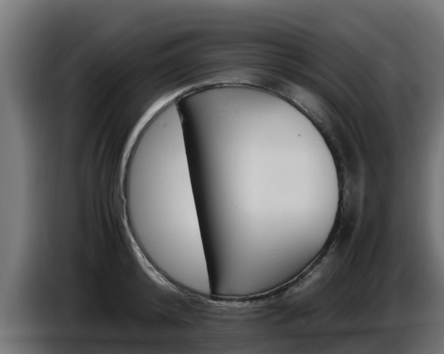 X0000086770800200704130835