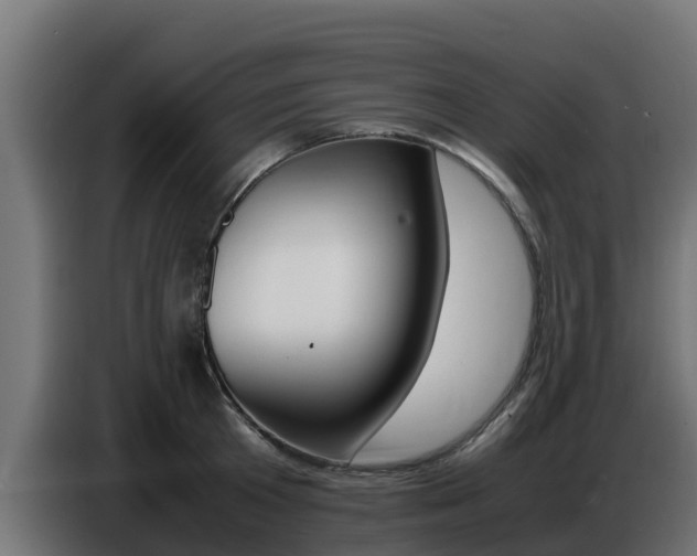 X0000086770801200704130835