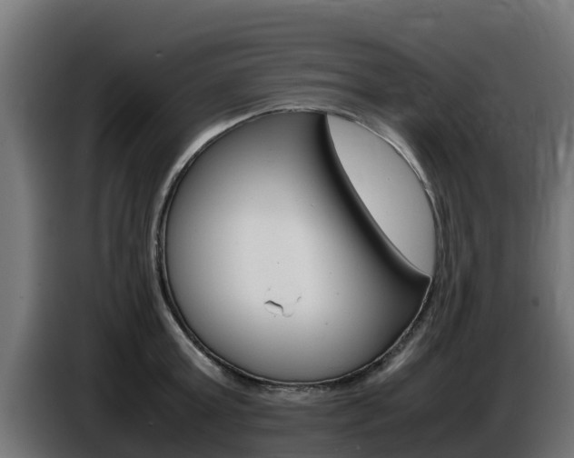 X0000086770803200704130835