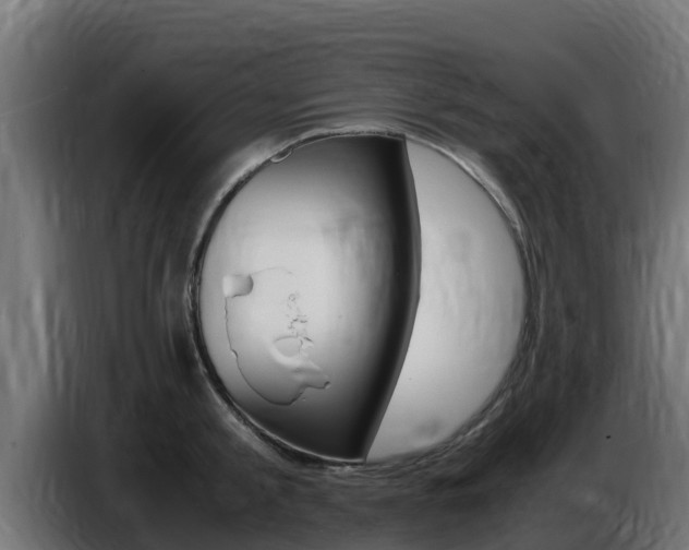 X0000086770805200704130835