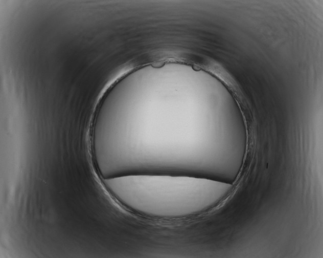 X0000086770806200704130835