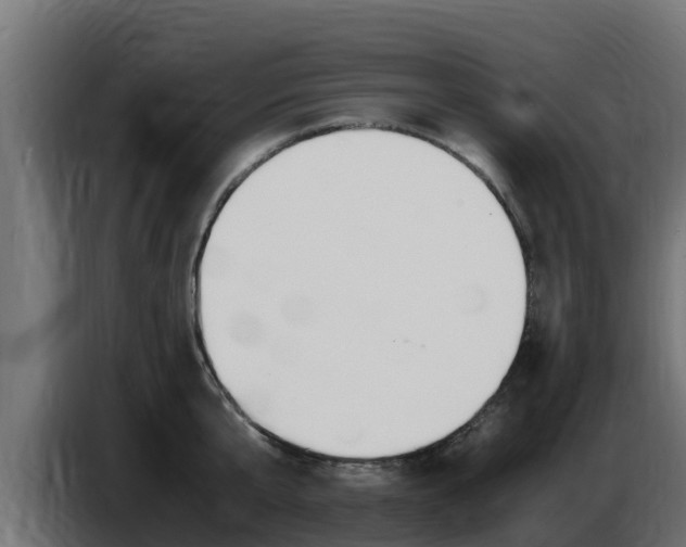 X0000086770807200704130835
