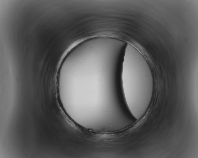X0000086770808200704130835