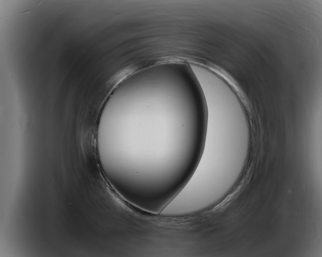 X0000086770809200704130835