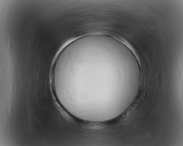 X0000086770811200704130835