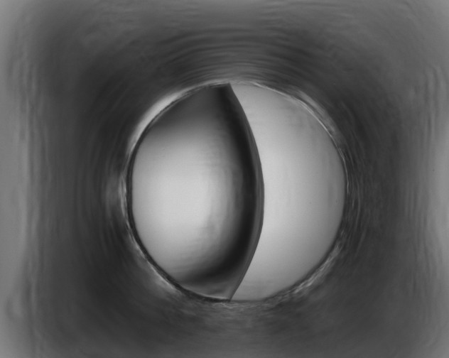 X0000086770812200704130835