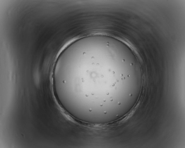 X0000086770814200704130835