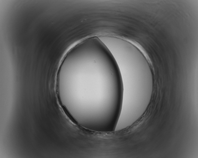 X0000086770815200704130835