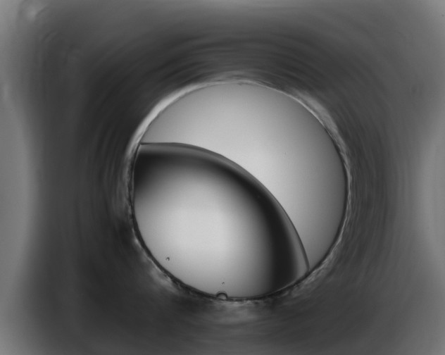 X0000086770816200704130835