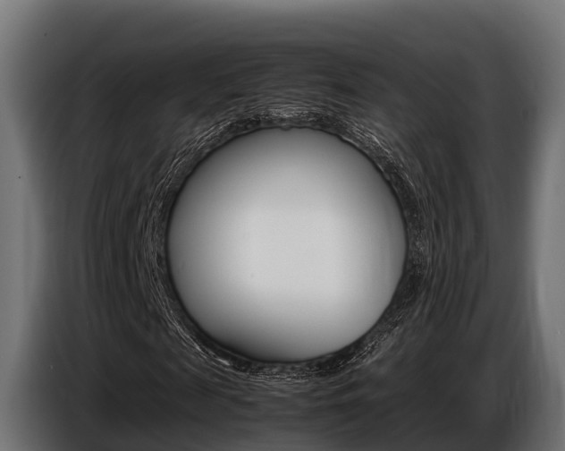 X0000086770817200704130834