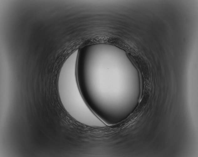 X0000086770818200704130834