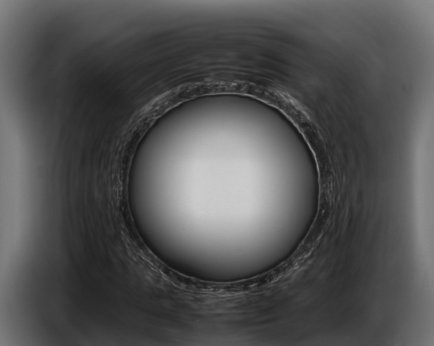 X0000086770821200704130834