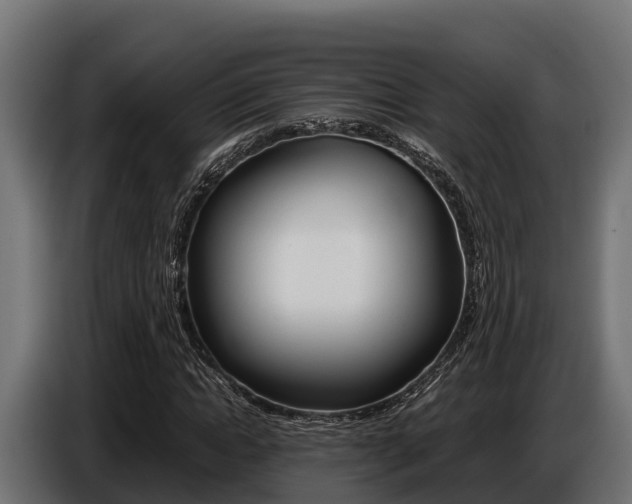 X0000086770822200704130834