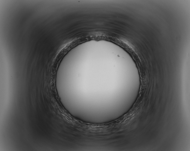X0000086770823200704130834