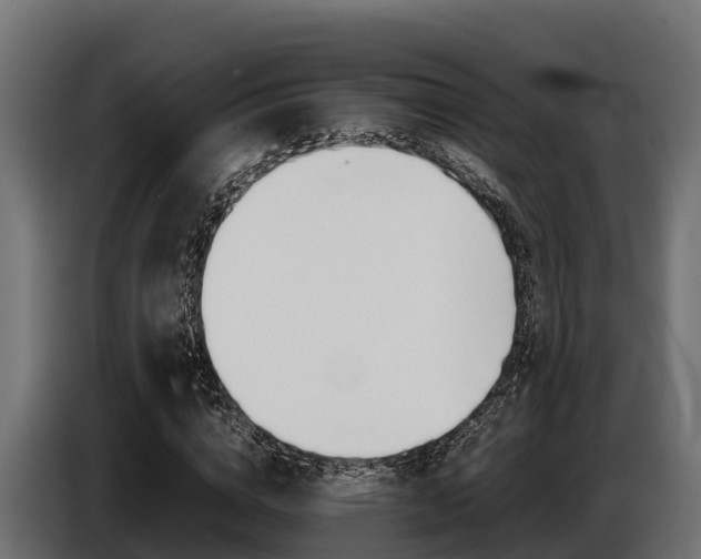X0000086770824200704130834