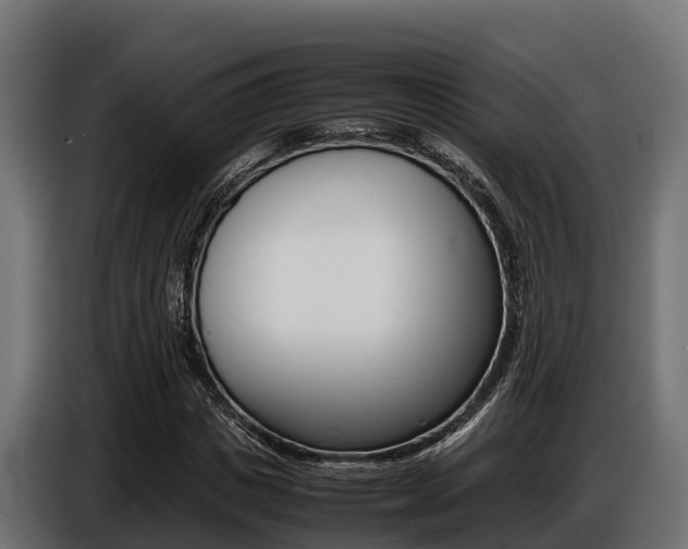 X0000086770825200704130834