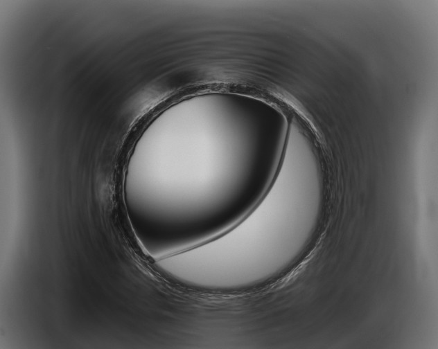 X0000086770826200704130834