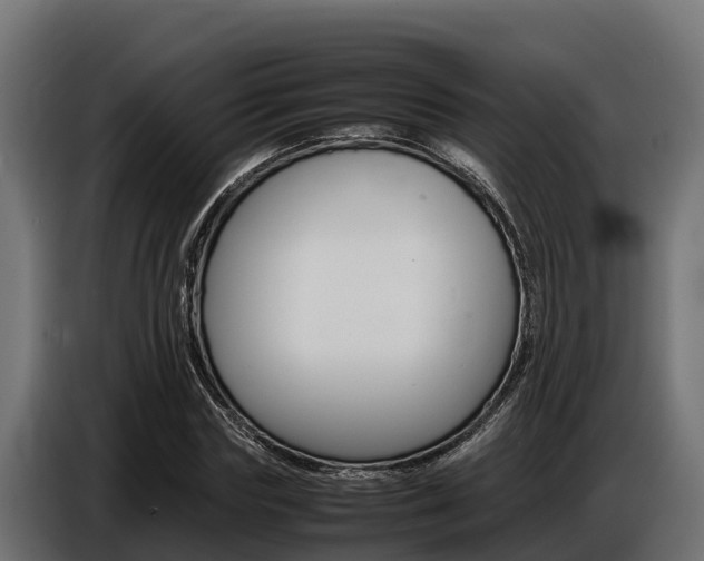 X0000086770827200704130834