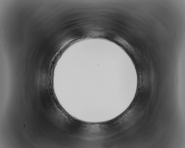 X0000086770828200704130834