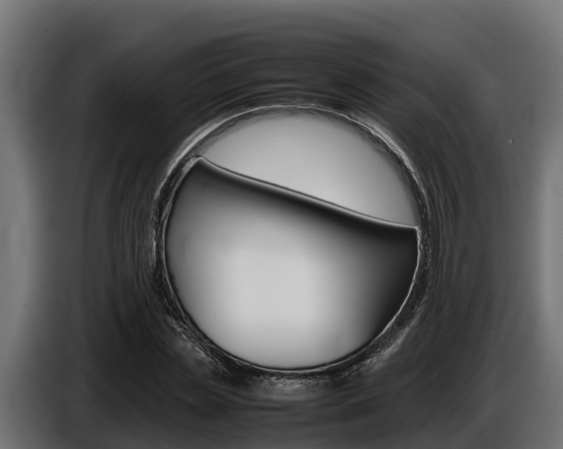X0000086770829200704130834