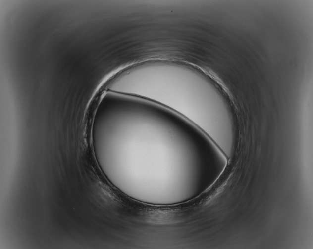 X0000086770830200704130834