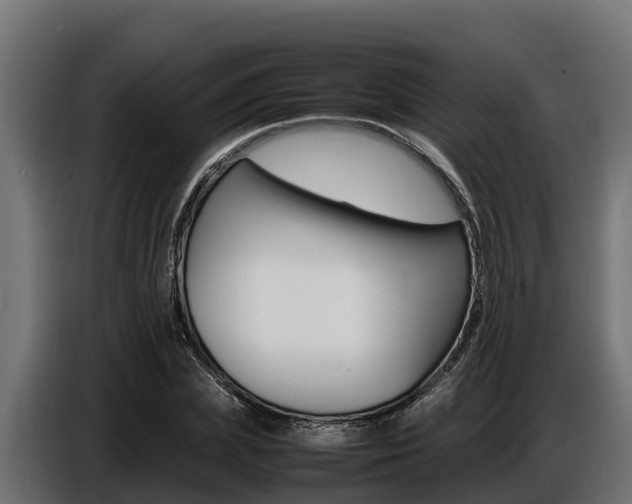 X0000086770831200704130834