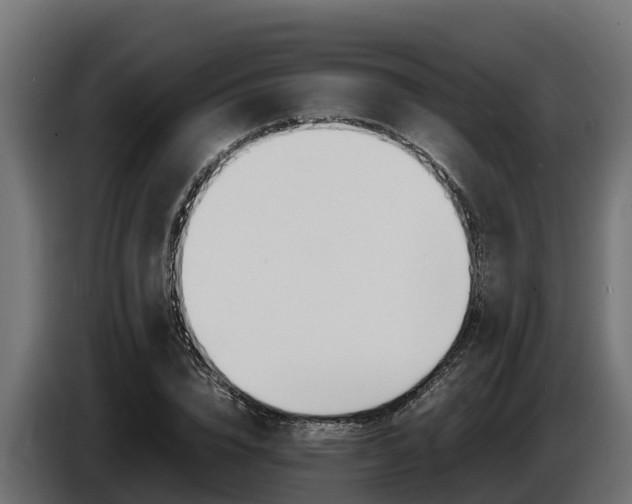 X0000086770832200704130834