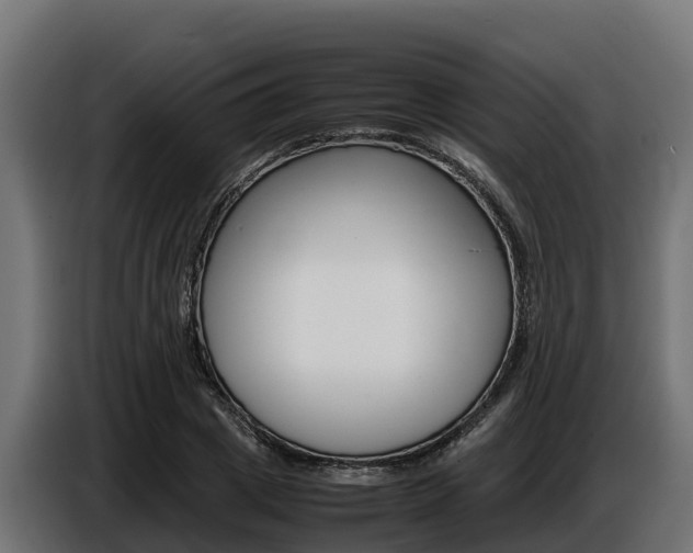 X0000086770833200704130834